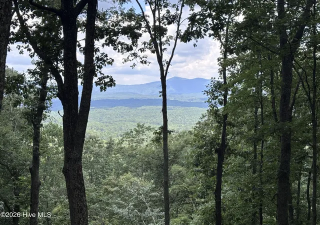 Photo 3 of Land for sale at Lot 169 Wilderness Crk Way, Murphy, NC 28906 | MLS# 100590013 | Listing updated on 2026-08-18