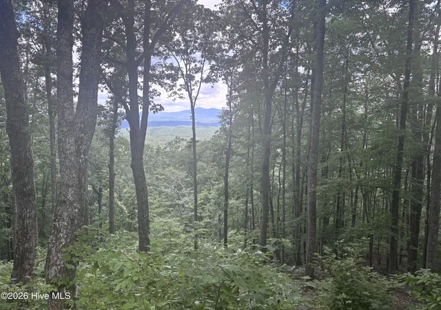 Photo 4 of Land for sale at Lot 169 Wilderness Crk Way, Murphy, NC 28906 | MLS# 100590013 | Listing updated on 2026-08-18