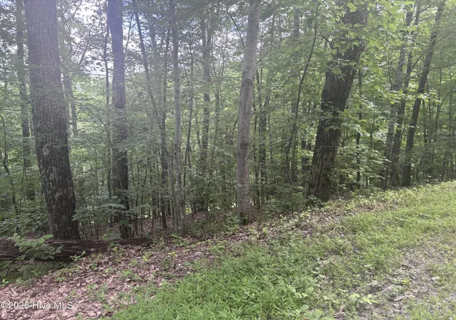Photo 5 of Land for sale at Lot 169 Wilderness Crk Way, Murphy, NC 28906 | MLS# 100590013 | Listing updated on 2026-08-18