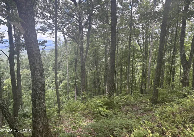 Photo 8 of Land for sale at Lot 169 Wilderness Crk Way, Murphy, NC 28906 | MLS# 100590013 | Listing updated on 2026-08-18