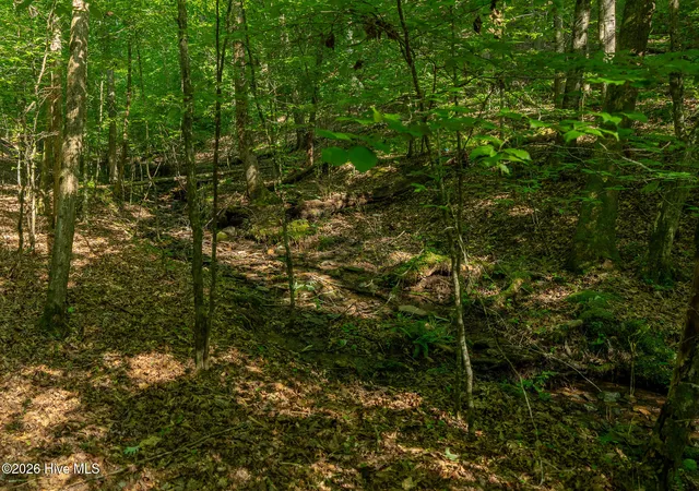 Photo 46 of Land for sale at 99ac Hwy 74/19 129, Murphy, NC 28906 | MLS# 100591227 | Listing updated on 2026-08-18