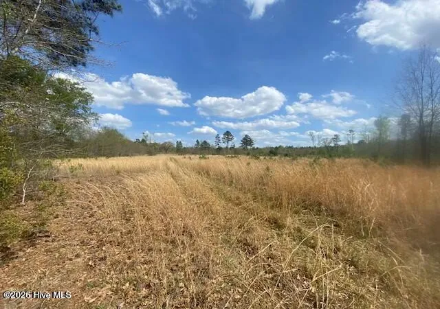 Photo 3 of Land for sale at 28385 Aberdeen Rd, Wagram, NC 28396 | MLS# 100550018 | Listing updated on 2026-09-04