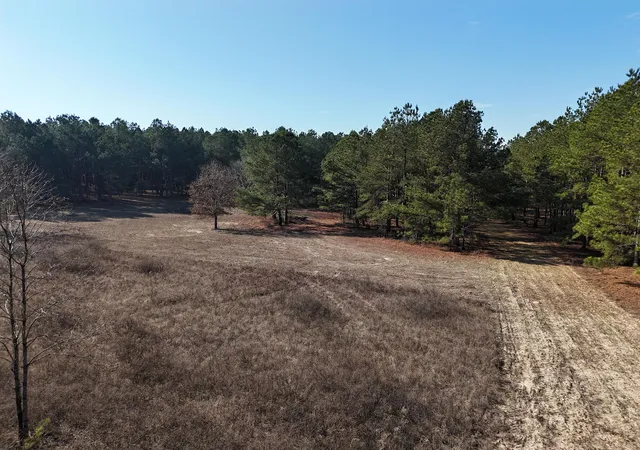 Homes for sale in Waynesboro, GA | 0 Ponderosa Rd, Waynesboro, GA 30830 | MLS# 98254585