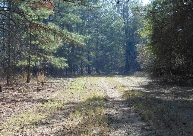 Homes for sale in Waynesboro, GA | 0 Ponderosa Rd, Waynesboro, GA 30830 | MLS# 98254585