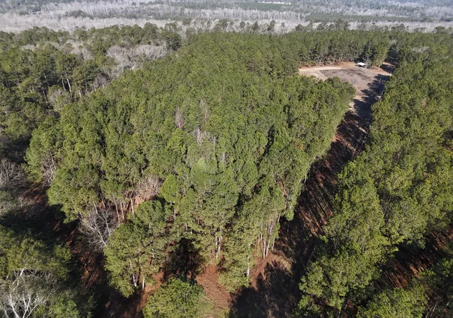 Homes for sale in Waynesboro, GA | 0 Ponderosa Rd, Waynesboro, GA 30830 | MLS# 98254585
