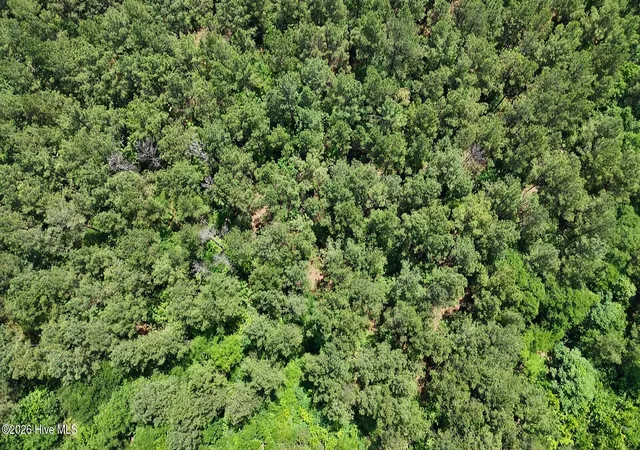 Photo 2 of Land for sale at 110 N Martintown Rd, Edgefield, SC 29824 | MLS# 100580958 | Listing updated on 2026-06-11