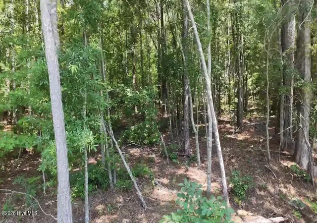 Photo 3 of Land for sale at 110 N Martintown Rd, Edgefield, SC 29824 | MLS# 100580958 | Listing updated on 2026-06-11