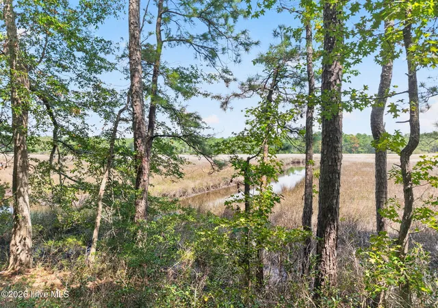 Land for sale at 3075 Valderama Wy Se, Bolivia, NC 28422 | MLS# 100599632