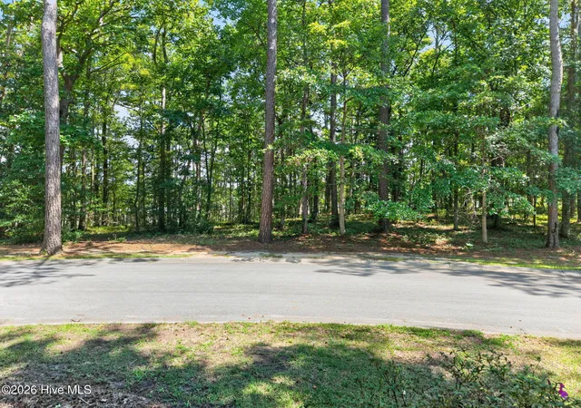 Photo 4 of Land for sale at 3075 Valderama Wy Se, Bolivia, NC 28422 | MLS# 100599632 | Listing updated on 2026-08-28
