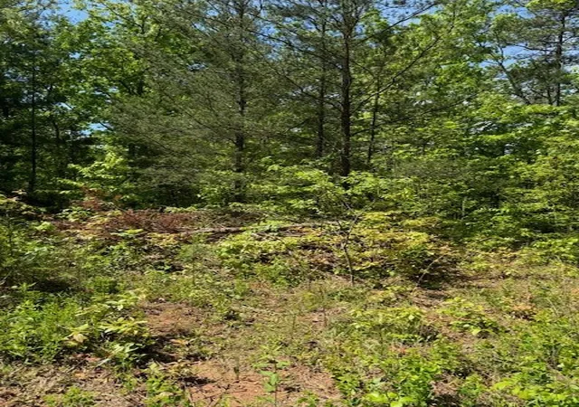 Photo 3 of Land for sale at Lot 12 Paradise, Murphy, NC 28906 | MLS# 98525022 | Listing updated on 2026-06-01