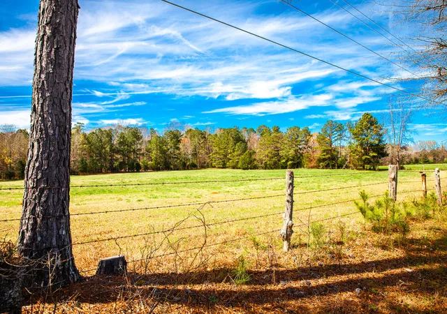 12th image of Lot 3 Mistletoe Rd, Appling, GA 30802 | MLS# 98212159