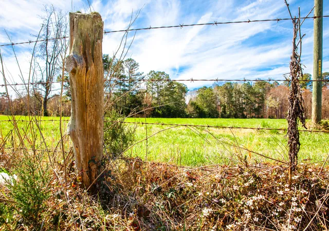 3rd image of Lot 3 Mistletoe Rd, Appling, GA 30802 | MLS# 98212159