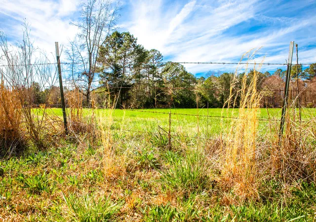 4th image of Lot 3 Mistletoe Rd, Appling, GA 30802 | MLS# 98212159