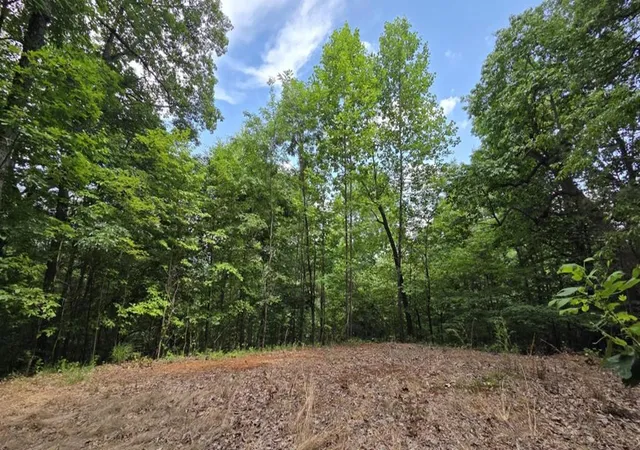 Photo 1 of Land for sale at 00 Talon Dr, Murphy, NC 28906 | MLS# 98525070 | Listing updated on 2026-07-21