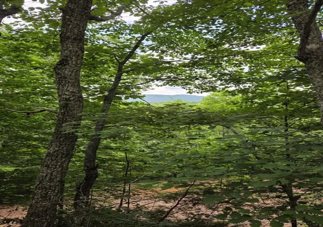 Photo 2 of Land for sale at 00 Talon Dr, Murphy, NC 28906 | MLS# 98525070 | Listing updated on 2026-07-21
