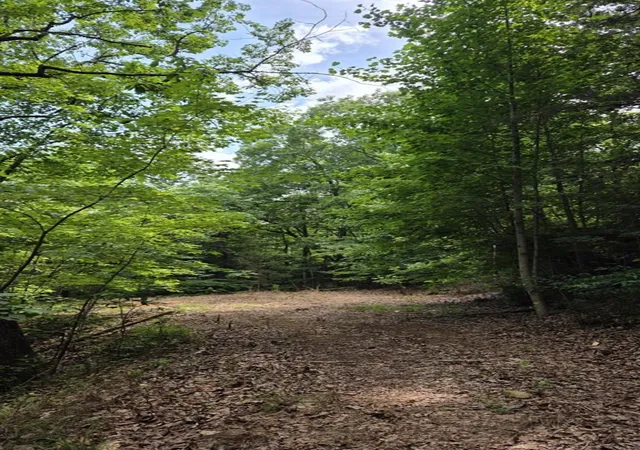 Photo 3 of Land for sale at 00 Talon Dr, Murphy, NC 28906 | MLS# 98525070 | Listing updated on 2026-07-21