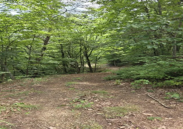 Photo 3 of Land for sale at 00 Talon Dr, Murphy, NC 28906 | MLS# 98525070 | Listing updated on 2026-07-21