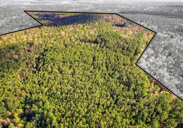 Photo 2 of Land for sale at Tbd2 Sc 23, Edgefield, SC 29824 | MLS# 98211850 | Listing updated on 2026-08-25