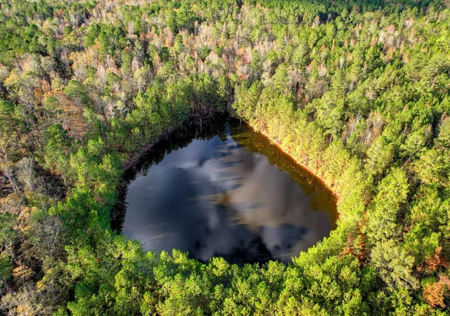 Photo 3 of Land for sale at Tbd2 Sc 23, Edgefield, SC 29824 | MLS# 98211850 | Listing updated on 2026-08-25