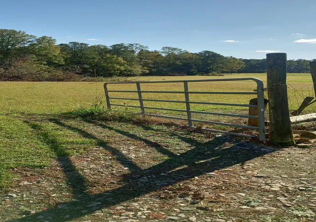 Photo 3 of Land for sale at Tbd2 Sc-23, Edgefield, SC 29824 | MLS# 98211850 | Listing updated on 2026-08-25