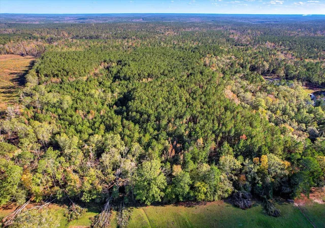 Photo 4 of Land for sale at Tbd2 Sc-23, Edgefield, SC 29824 | MLS# 98211850 | Listing updated on 2026-08-25