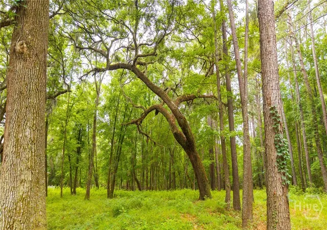 12th image of 1300 Silk Hope Dr, Richmond Hill, GA 31324 | MLS# SA359696