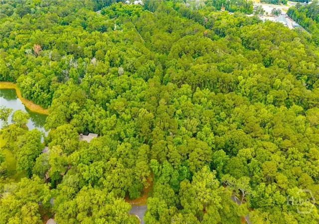 4th image of 1300 Silk Hope Dr, Richmond Hill, GA 31324 | MLS# SA359696