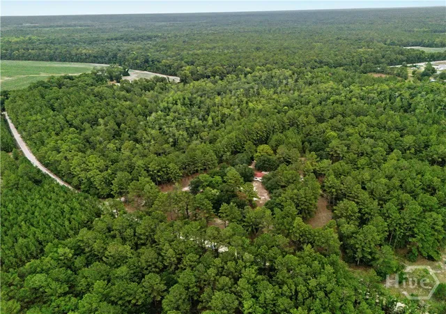 2nd image of 200 George Dr, Brooklet, GA 30415 | MLS# SA361362