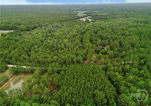 3rd image of 200 George Dr, Brooklet, GA 30415 | MLS# SA361362