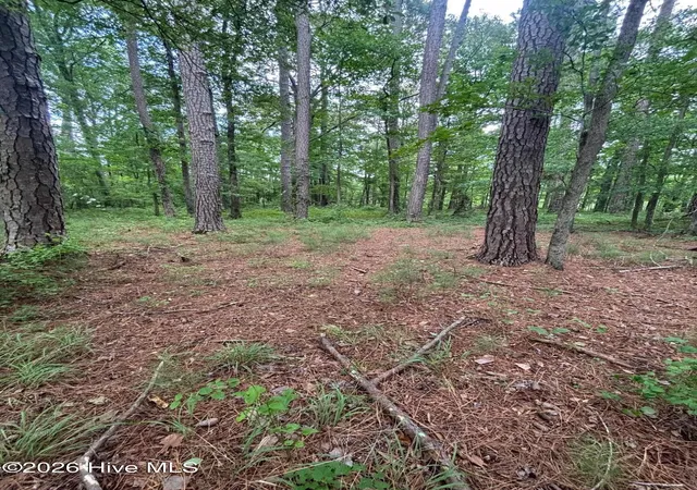 Photo 3 of Land for sale at 0 Winfield Ln, Pinetown, NC 27865 | MLS# 100590276 | Listing updated on 2026-09-04