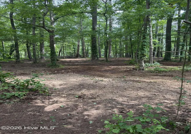 Photo 4 of Land for sale at 0 Winfield Ln, Pinetown, NC 27865 | MLS# 100590276 | Listing updated on 2026-09-04