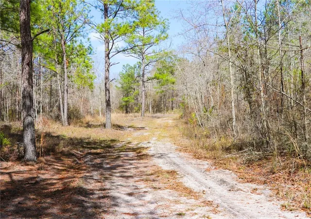 3rd image of 0 Tillman Eason Rd, Claxton, GA 30417 | MLS# SA341304