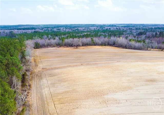 4th image of 0 Tillman Eason Rd, Claxton, GA 30417 | MLS# SA341304