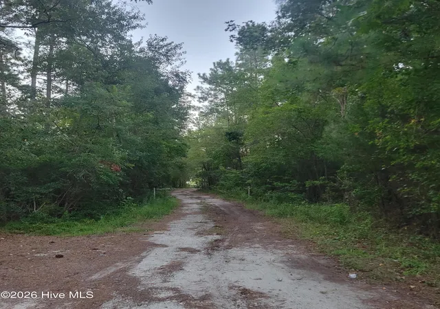 Homes for sale in Burgaw, NC | 6816 Nc Hwy 53 E, Burgaw, NC 28425 | MLS# 100573585