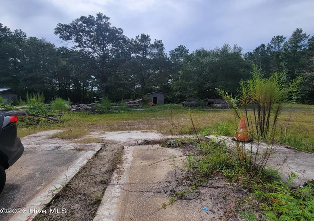 Homes for sale in Burgaw, NC | 6816 Nc Hwy 53 E, Burgaw, NC 28425 | MLS# 100573585