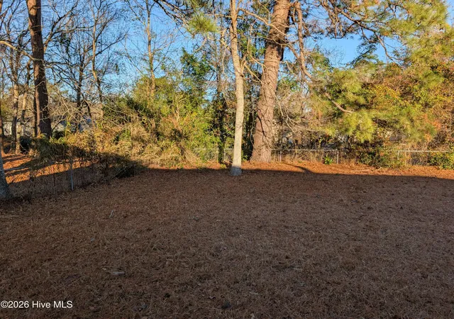 23rd image of 204 Shamrock Dr, Jacksonville, NC 28540 | MLS# 100548942