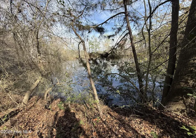 Photo 4 of Land for sale at 0 Chic Ennis Rd, Coats, NC 27521 | MLS# 100561887 | Listing updated on 2026-07-27