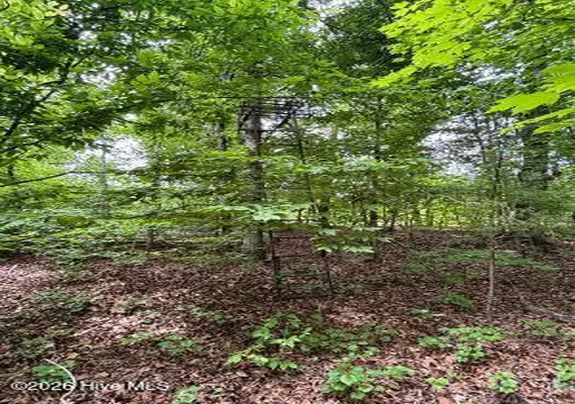 Photo 3 of House for sale at 1188 Long Cane Rd, Edgefield, SC 29824 | MLS# 100592774 | Listing updated on 2026-08-18