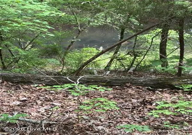 Photo 6 of Land for sale at 1188 Long Cane Rd, Edgefield, SC 29824 | MLS# 100592774 | Listing updated on 2026-08-18