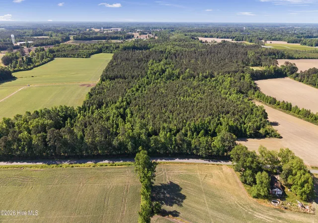 Homes for sale in Teachey, NC | 26 Acres High School Rd, Teachey, NC 28464 | MLS# 100572498