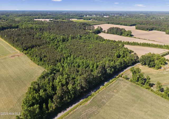 Homes for sale in Teachey, NC | 26 Acres High School Rd, Teachey, NC 28464 | MLS# 100572498