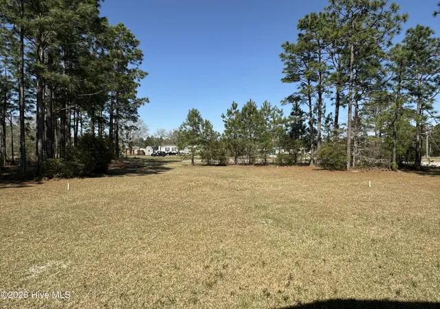 9th image of 317 The Cove Ln Ne, Leland, NC 28451 | MLS# 100567763