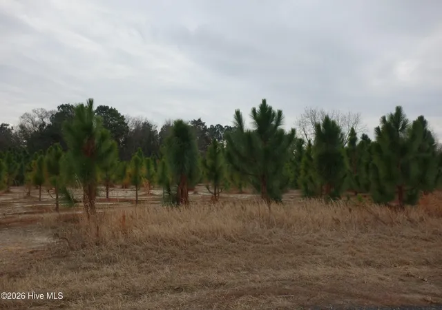 Photo 1 of Land for sale at Lot 43 Stuarts Ml Rd, Fairmont, NC 28340 | MLS# 100551151 | Listing updated on 2026-05-23