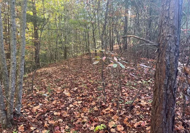 Photo 2 of Land for sale at Lot 23 Trailblazer Way, Murphy, NC 28906 | MLS# 98543717 | Listing updated on 2026-07-31
