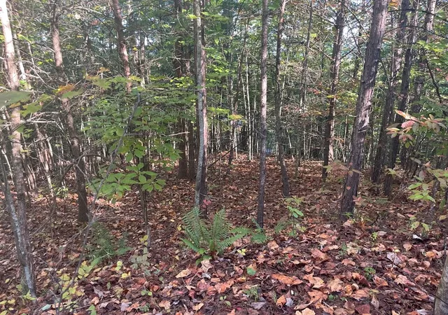 Photo 3 of Land for sale at Lot 23 Trailblazer Way, Murphy, NC 28906 | MLS# 98543717 | Listing updated on 2026-07-31