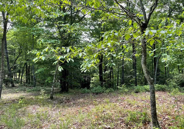 1st image of 4 Collett Woods Trl, Andrews, NC 28901 | MLS# 100588600