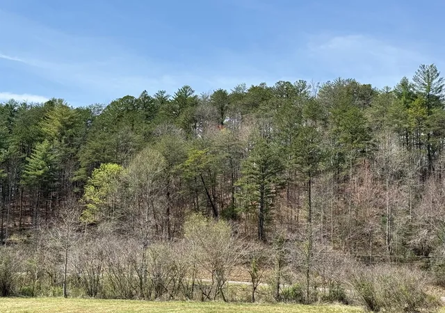 Homes for sale in Murphy, NC | 0 Morrow Rd, Murphy, NC 28906 | MLS# 98524969