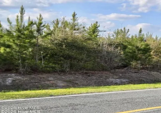 Homes for sale in Evergreen, NC | Near 731 Macedonia Church Rd, Evergreen, NC 28438 | MLS# 100564530
