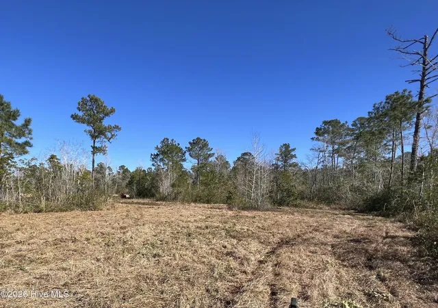 Homes for sale in Nakina, NC | 827 Chair Factory Rd, Nakina, NC 28455 | MLS# 100581402