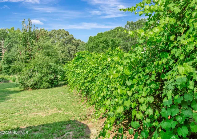 Photo 27 of Single family home for sale at 591 E Great Marsh Church Rd, Saint Pauls, NC 28384 | MLS# 100586564 | Listing updated on 2026-08-18